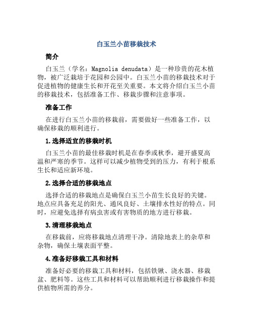 白玉兰小苗移栽技术