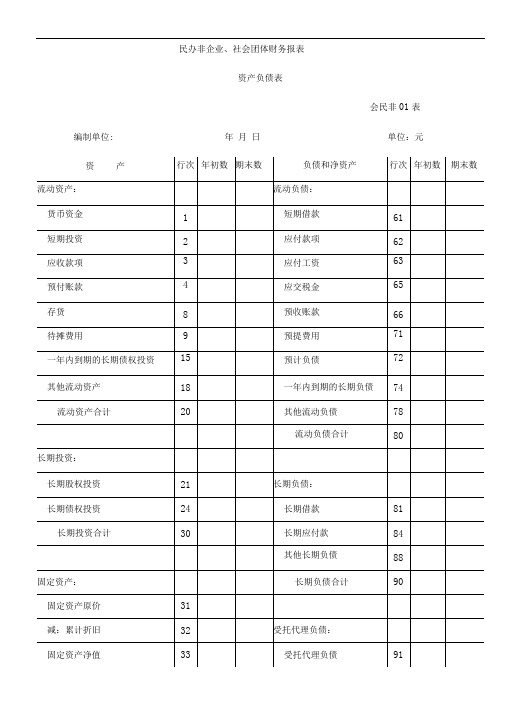 社会团体财务报表