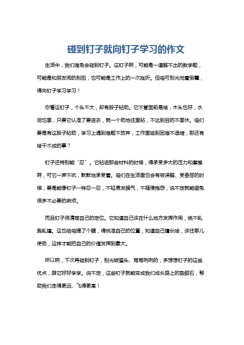 碰到钉子就向钉子学习的作文