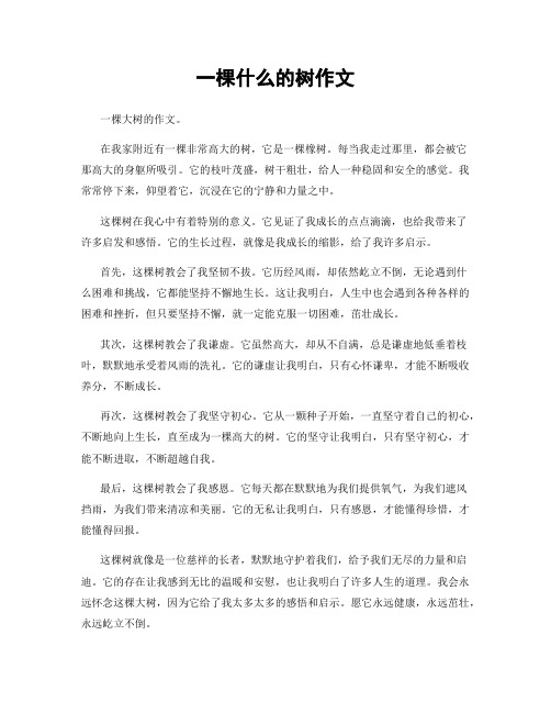 一棵什么的树作文