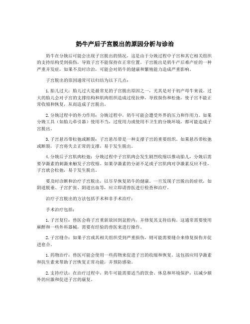 奶牛产后子宫脱出的原因分析与诊治