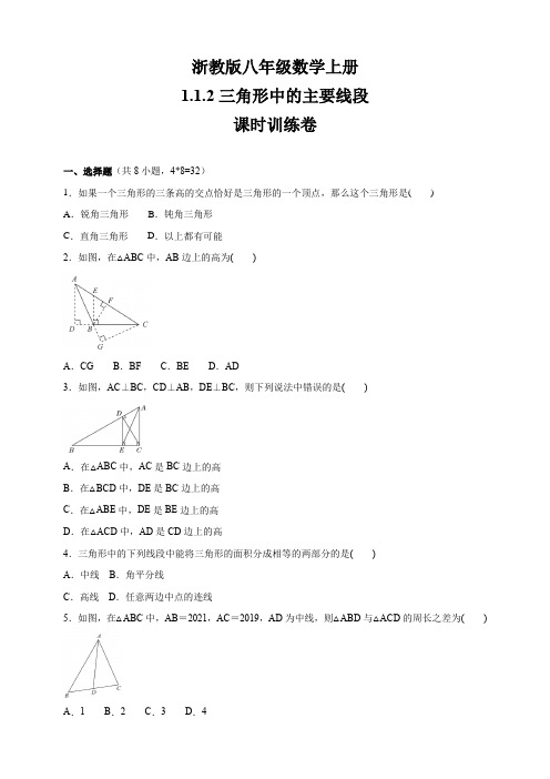 三角形中的主要线段 课时训练卷  八年级数学上册 (含答案)