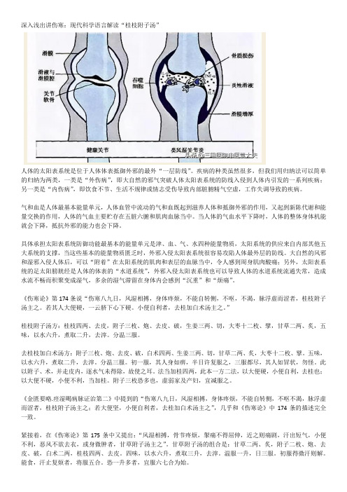 深入浅出讲伤寒：现代科学语言解读“桂枝附子汤”