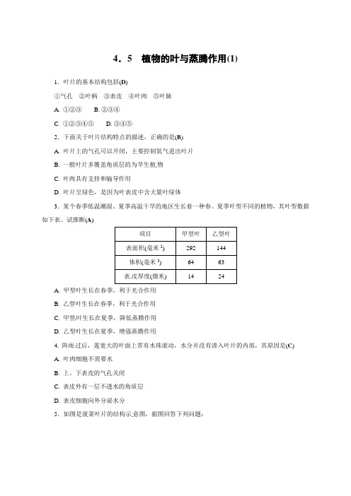 4.5 植物的叶与蒸腾作用(1)