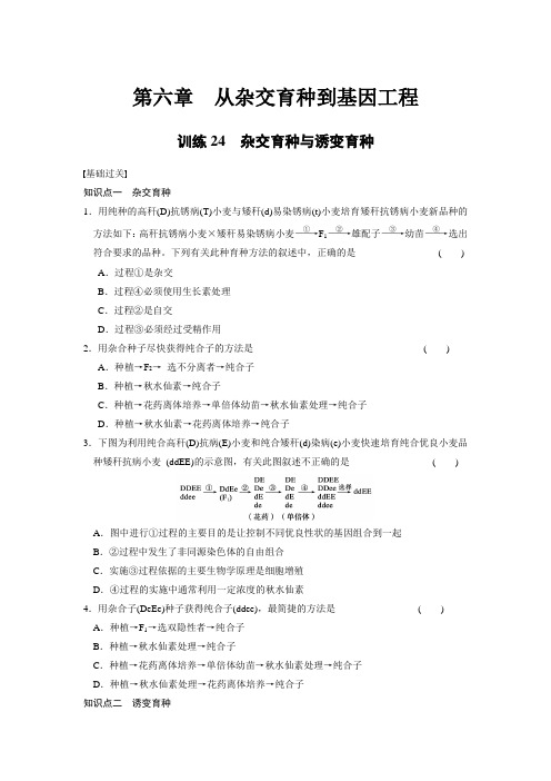 高一必修2生物《步步高》习题与答案