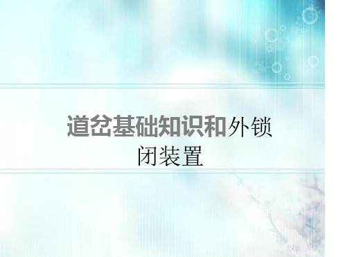 道岔基础知识和外锁闭装置最新优质PPT课件