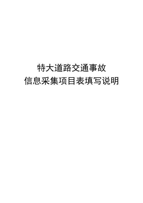 特大道路交通事故信息采集项目表填写说明