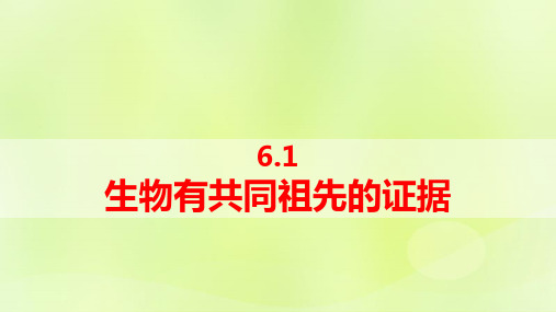 新教材高中生物第6章生物的进化：生物有共同祖先的证据pptx课件新人教版必修2