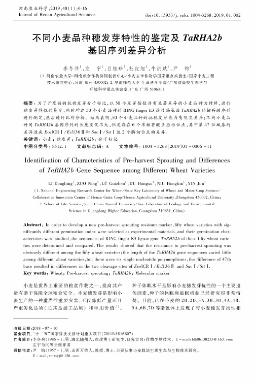 不同小麦品种穗发芽特性的鉴定及TaRHA2b基因序列差异分析