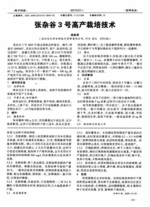 张杂谷3号高产栽培技术