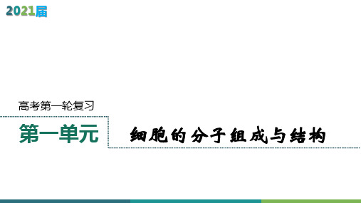  一轮复习 人教版  细胞的分子组成与结构  课件(103张)