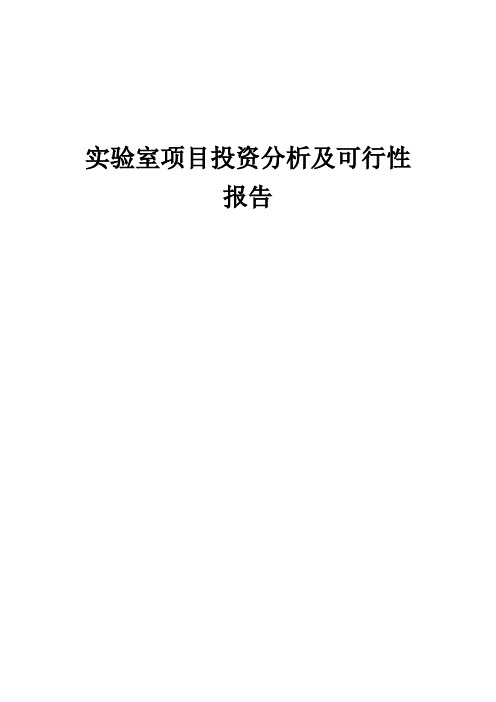 2024年实验室项目投资分析及可行性报告