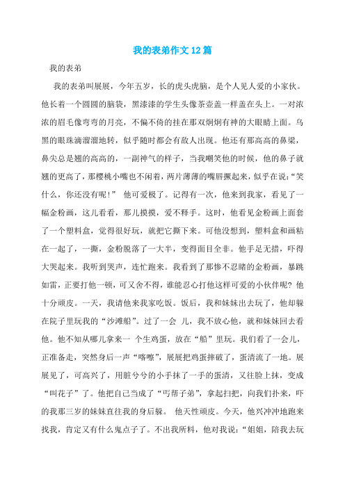 我的表弟作文12篇