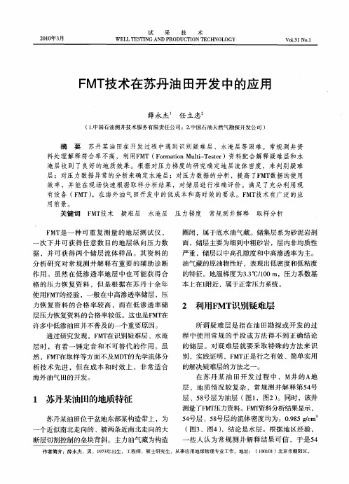 FMT技术在苏丹油田开发中的应用