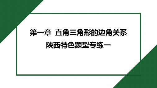 2025年北师大版九年级下册数学第1章特色题型专练一