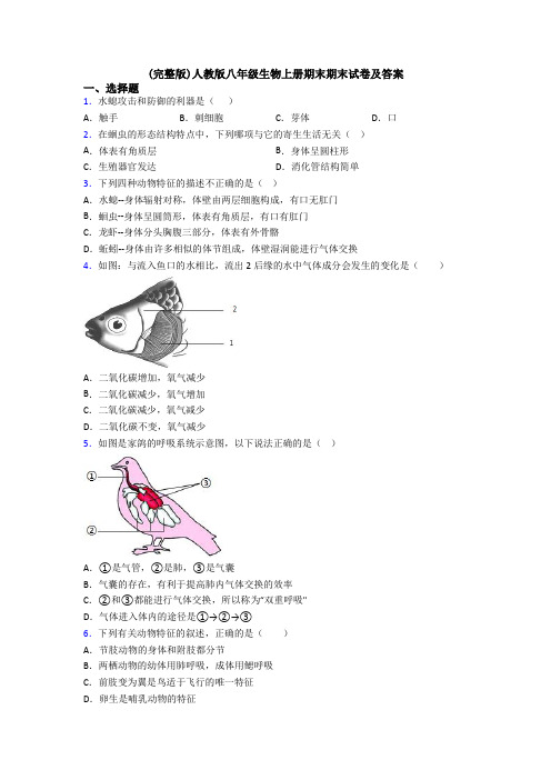 (完整版)人教版八年级生物上册期末期末试卷及答案