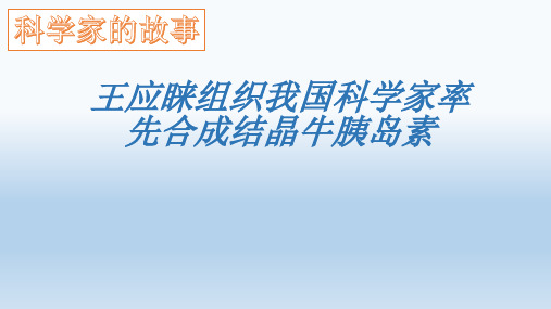 人教版七年级下册生物：科学家的故事 王应睐组织我国科学家率先合成结晶牛胰岛素