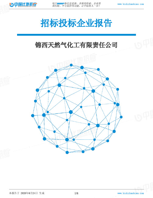 锦西天然气化工有限责任公司-招投标数据分析报告