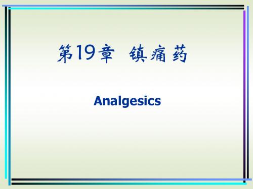 19 镇痛药