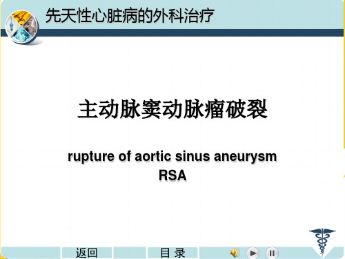 主动脉窦瘤破裂ppt(精选文档)