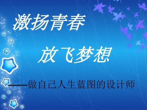 职业生涯讲座(ppt 30页)