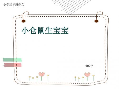 小学三年级作文《小仓鼠生宝宝》600字(共9页PPT)