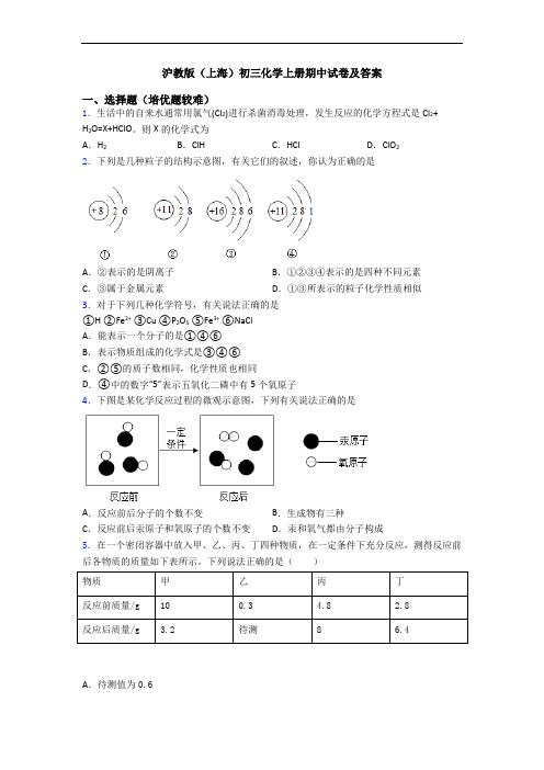 沪教版(上海)初三化学初三化学上册期中试卷及答案