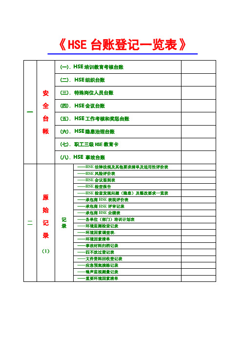 HSE台账登记一览表      (项目)