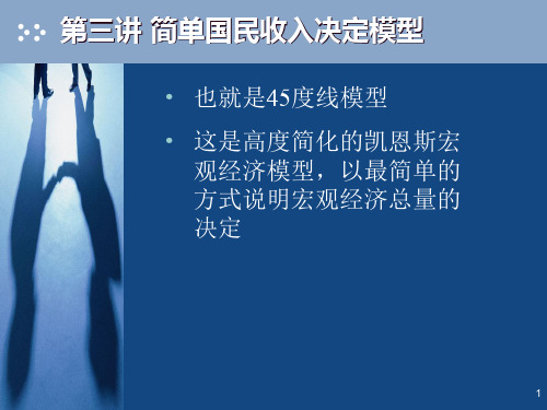 简单国民收入决定理论(45度线模型)(精品)