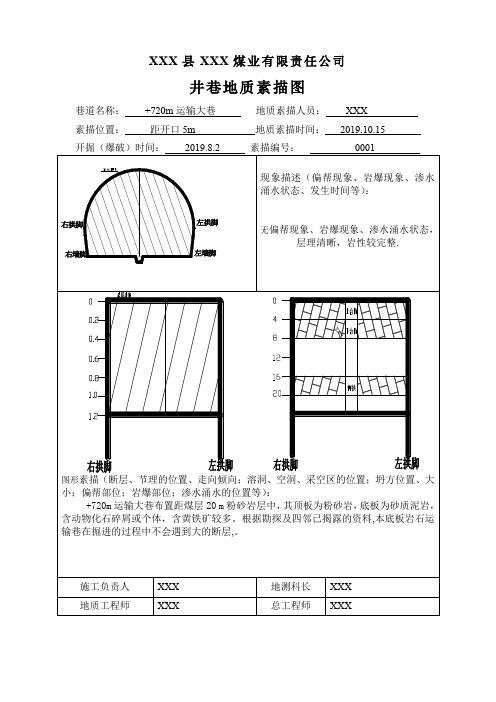 2019年度井巷地质素描图