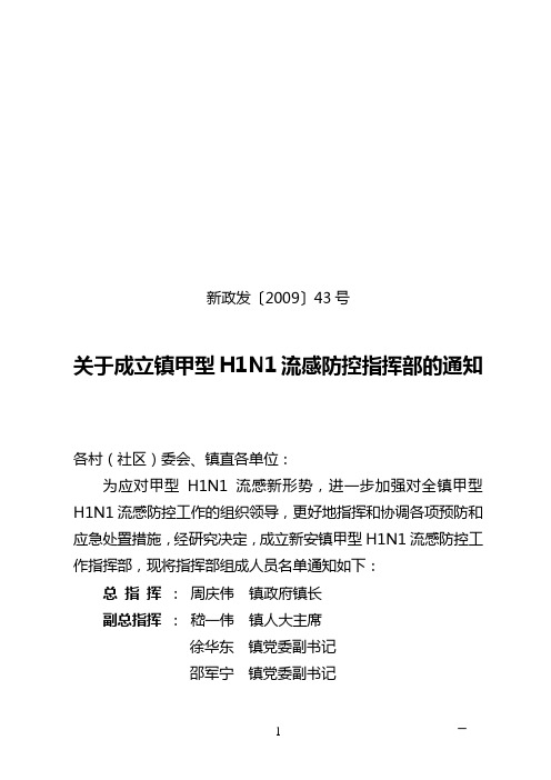 新政发〔2009〕43号