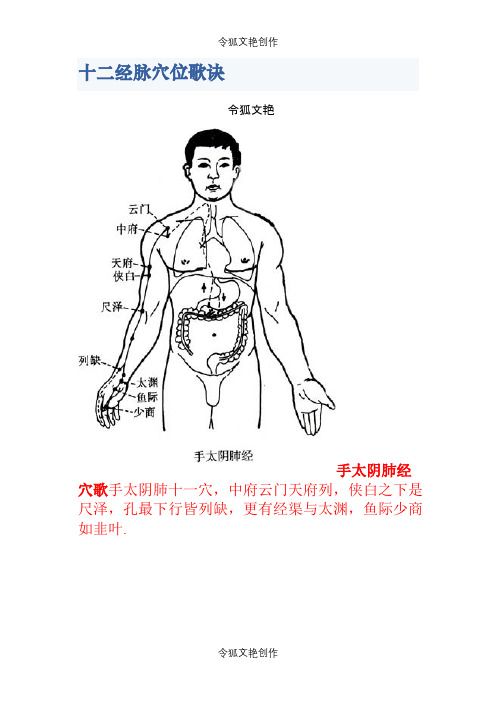 十二经脉穴位歌诀1之令狐文艳创作