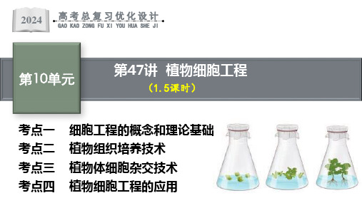 高考生物一轮复习第47讲植物细胞工程