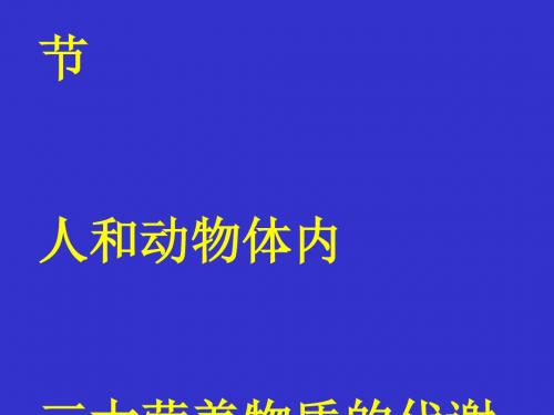 人和动物体内三大营养物质的代谢ppt7 人教版