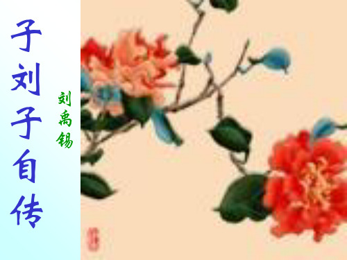 子刘子自传ppt课件