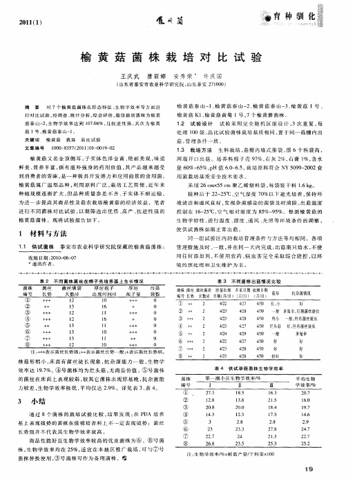 榆黄菇菌株栽培对比试验