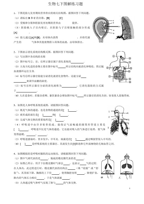 2017年七年级下册生物图形题复习 -