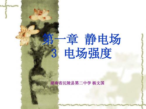 3 电场强度(含例题分析)