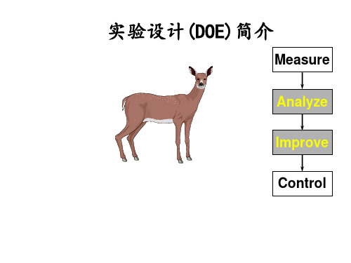 实验设计DOE简介