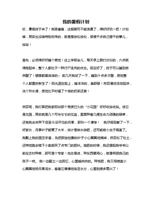 作文《我的暑假计划》