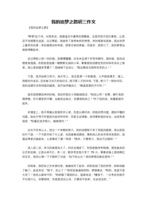 我的追梦之路初三作文