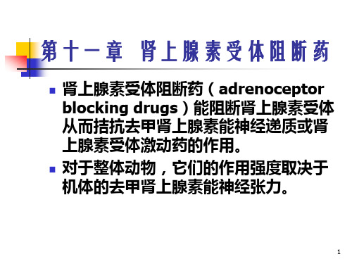 肾上腺素受体阻断药-α受体阻断药-β受体阻断药-α、β受体阻断药课件