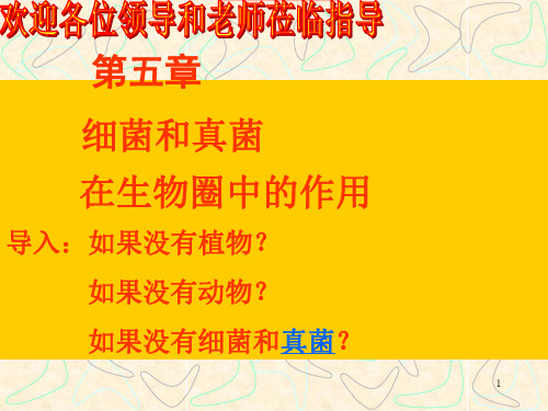 细菌真菌在自然界中的作用推荐PPT演示文稿