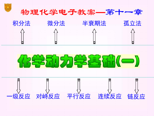 11章化学动力学基础一