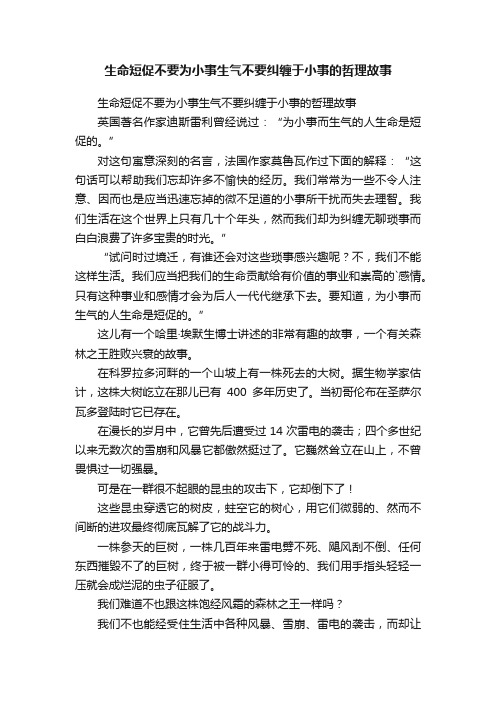 生命短促不要为小事生气不要纠缠于小事的哲理故事