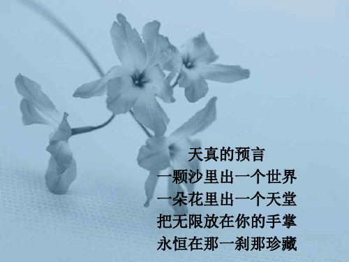 花未眠PPT教学课件