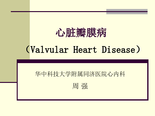 心脏瓣膜病valvular heart disease