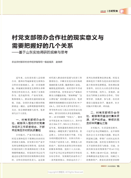 村党支部领办合作社的现实意义与需要把握好的几个关系——基于山东实地调研的观察与思考