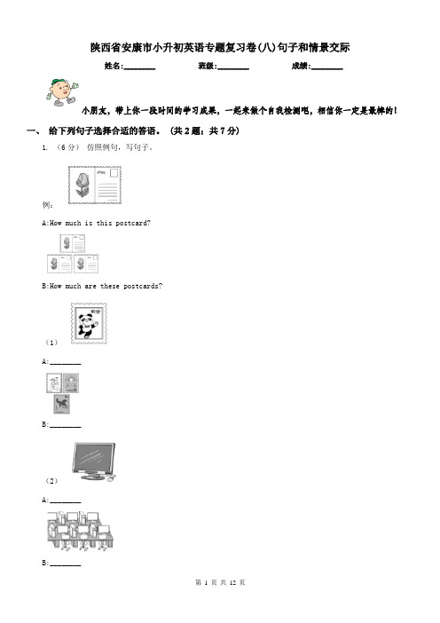 陕西省安康市小升初英语专题复习卷(八)句子和情景交际