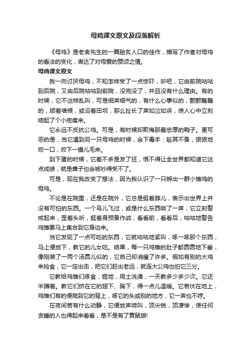 母鸡课文原文及段落解析